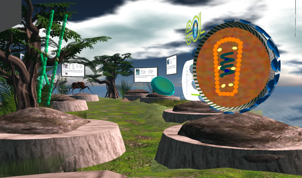 A snapshot of the EOL display in Second Life, built for the MacArthur Foundation. Display features many different kinds of life, highlighting the service provided by the Encyclopedia of Life website.