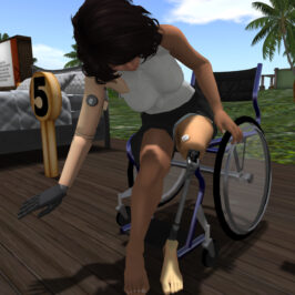 Virtual Ability: Virtual Health Adventures