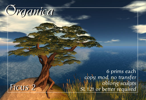 ficus2-vendor ficus2-vendor