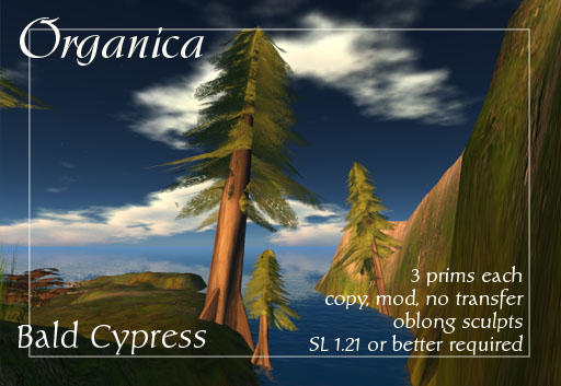 swampcypress-vendor