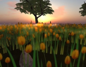 snapshot_005