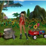 Contest2010-E02-03