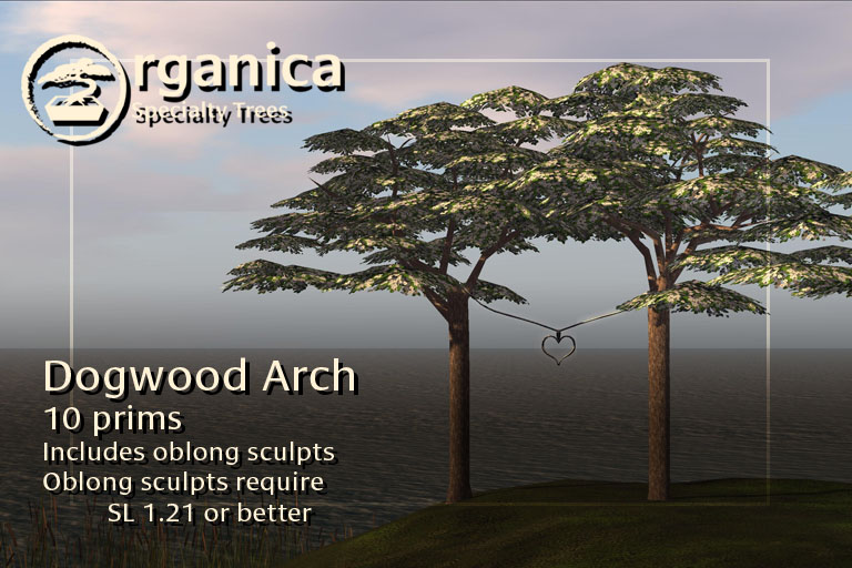 dogwood1-vendor-3 dogwood1-vendor-3