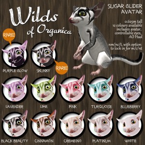 SugarGlider-Vendor-1024