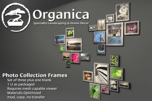 FrameCollection-vendor