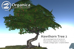 Hawthorn2-vendor