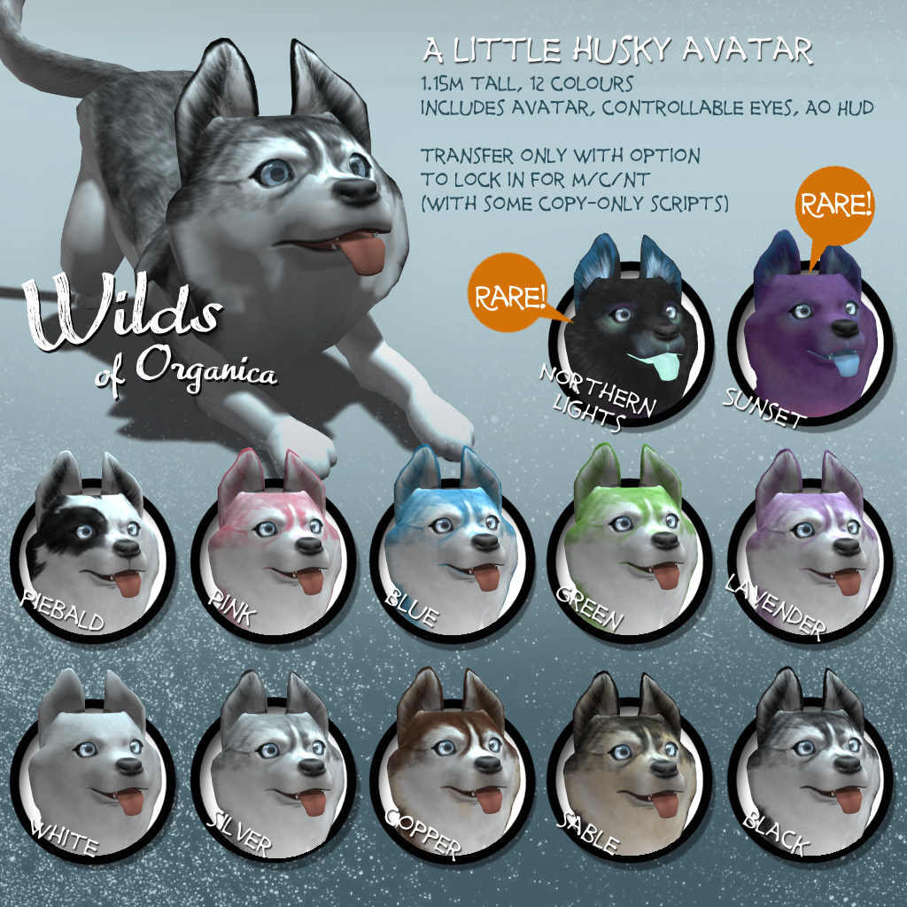 I’m not fat; I’m just A Little Husky (avatar)