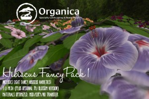 Hibiscus-Fancy Pack 1-sml