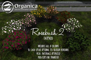 Rosebush2-fatpack-vendor-sml