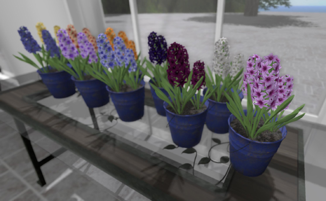 Grass Tops, Hyacinth and Morning Glory now available!