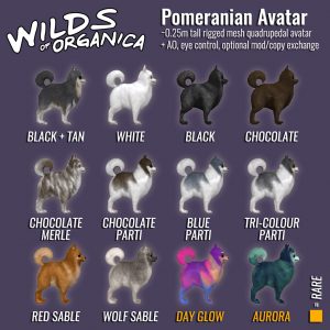 Pomeranian-legend-1024