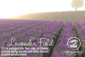 LavenderField-vendor-768