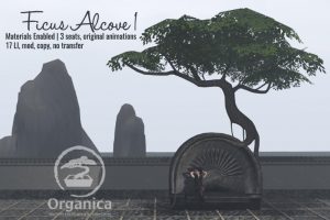 FicusAlcove1-vendor